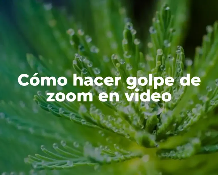 Cómo hacer golpe de zoom en video