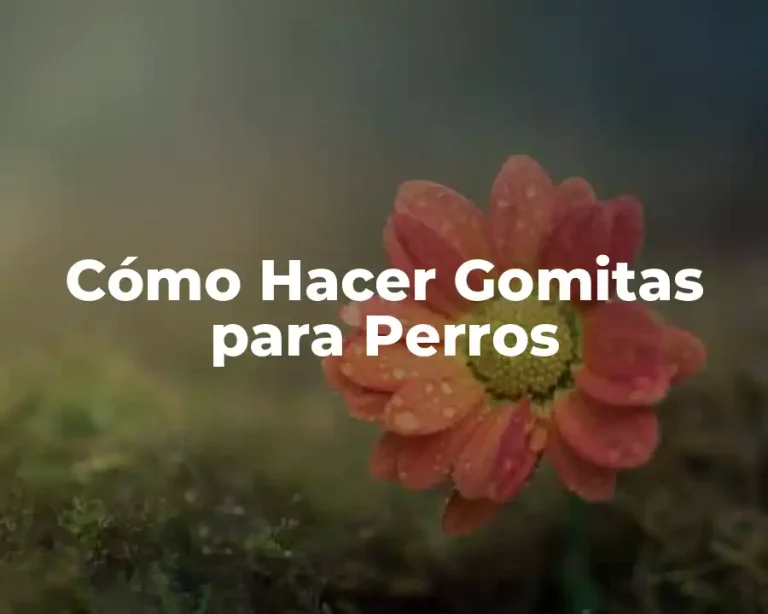 Cómo Hacer Gomitas para Perros