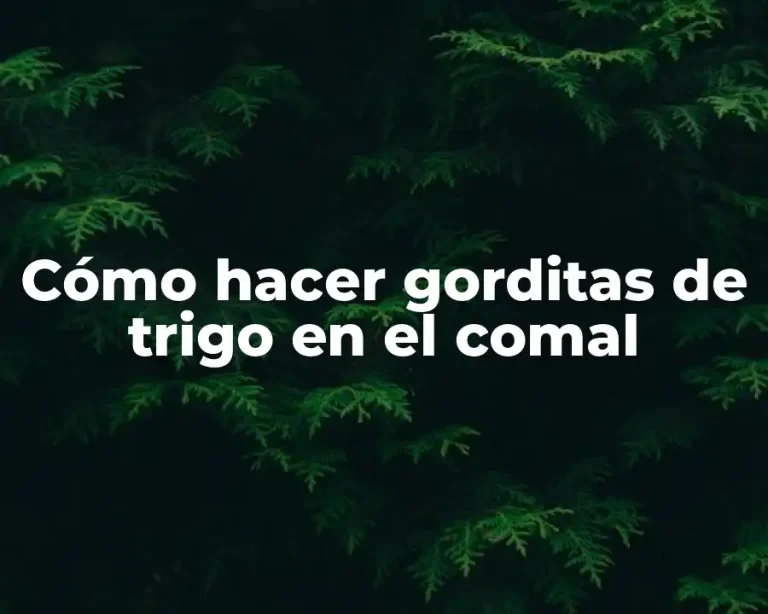 Cómo hacer gorditas de trigo en el comal