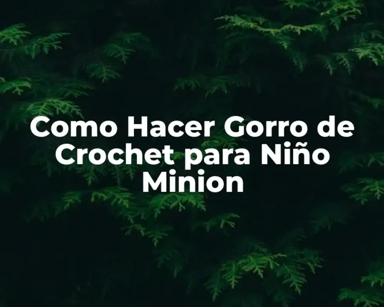 Como Hacer Gorro de Crochet para Niño Minion