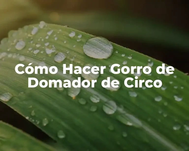 Cómo Hacer Gorro de Domador de Circo