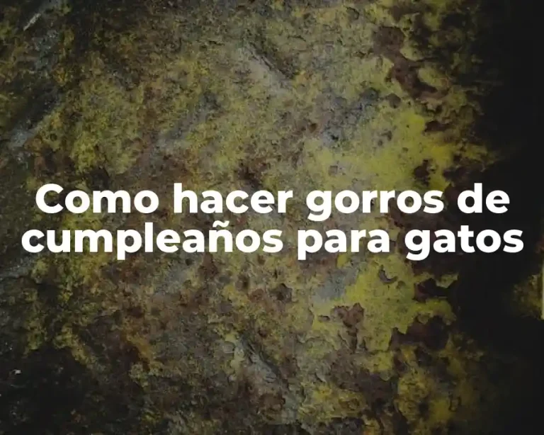 Como hacer gorros de cumpleaños para gatos