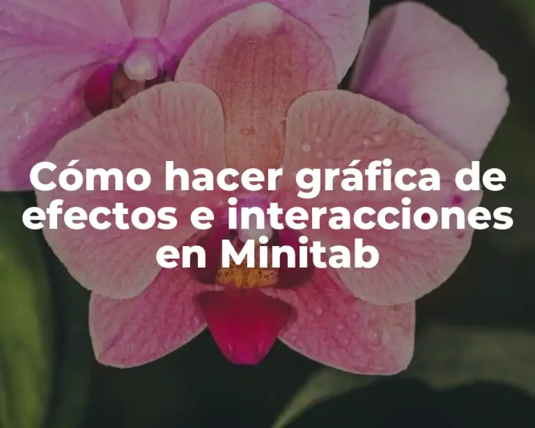 Cómo hacer gráfica de efectos e interacciones en Minitab