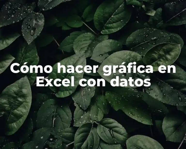 Cómo hacer gráfica en Excel con datos