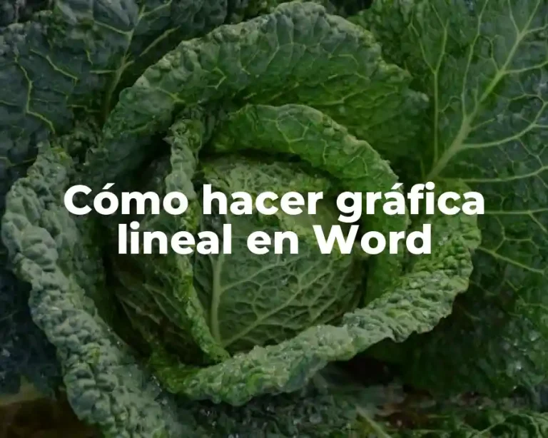 Cómo hacer gráfica lineal en Word