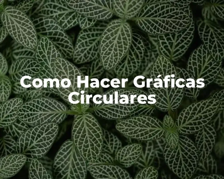Como Hacer Gráficas Circulares