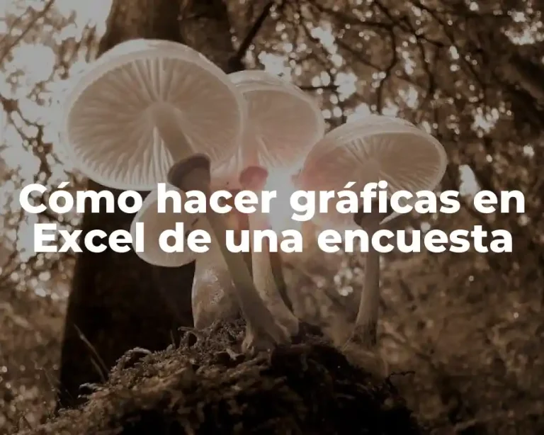 Cómo hacer gráficas en Excel de una encuesta