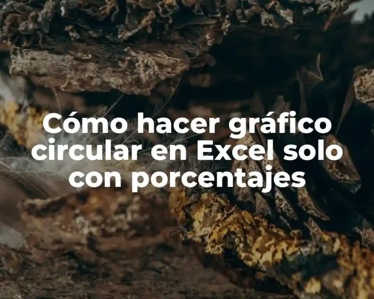 Cómo hacer gráfico circular en Excel solo con porcentajes