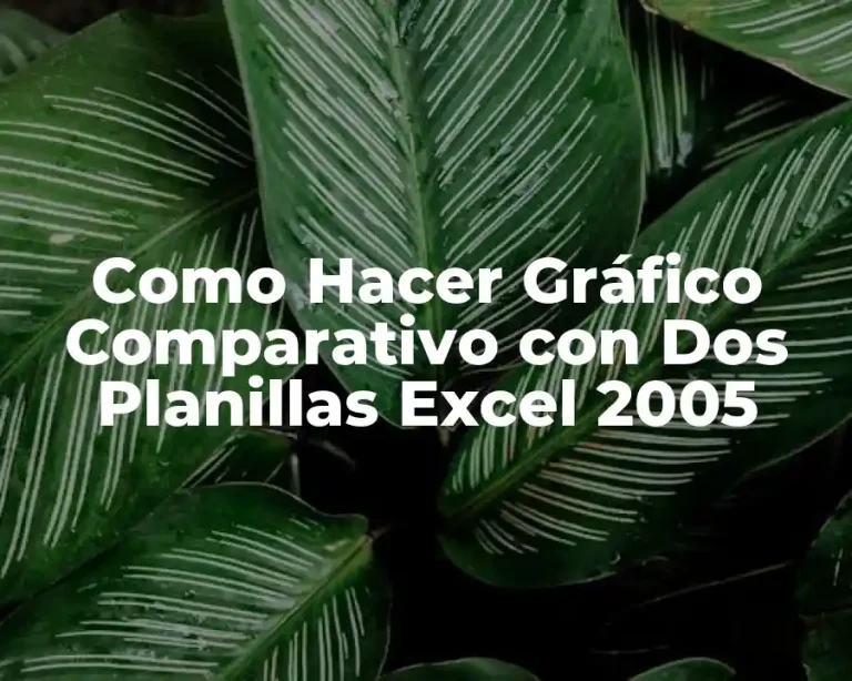 Como Hacer Gráfico Comparativo con Dos Planillas Excel 2005