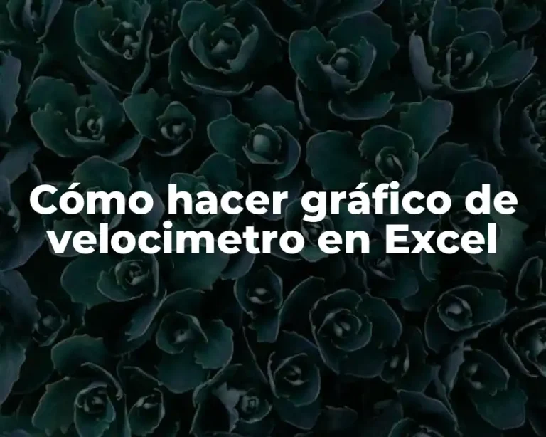 Cómo hacer gráfico de velocimetro en Excel