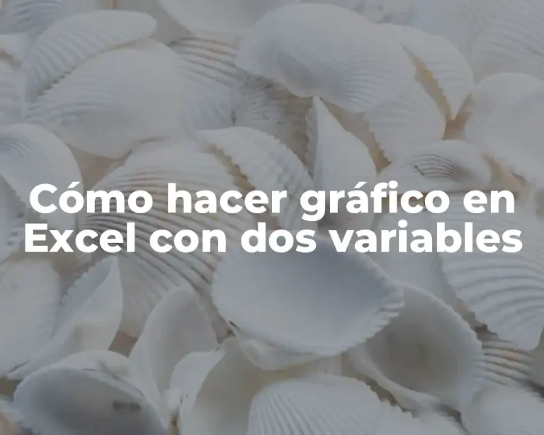 Cómo hacer gráfico en Excel con dos variables