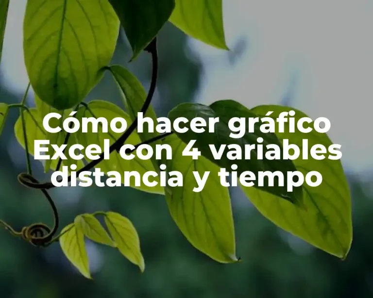Cómo hacer gráfico Excel con 4 variables distancia y tiempo