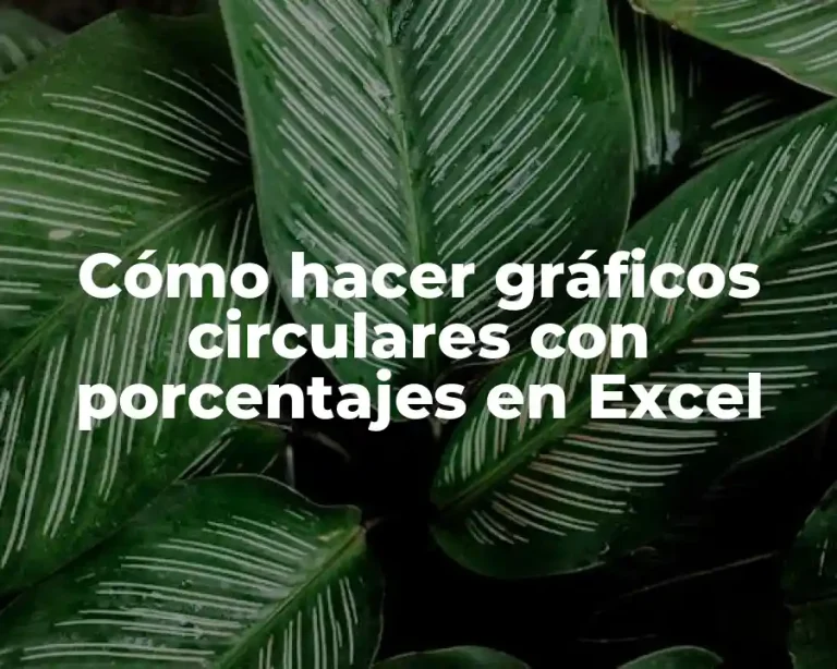 Cómo hacer gráficos circulares con porcentajes en Excel