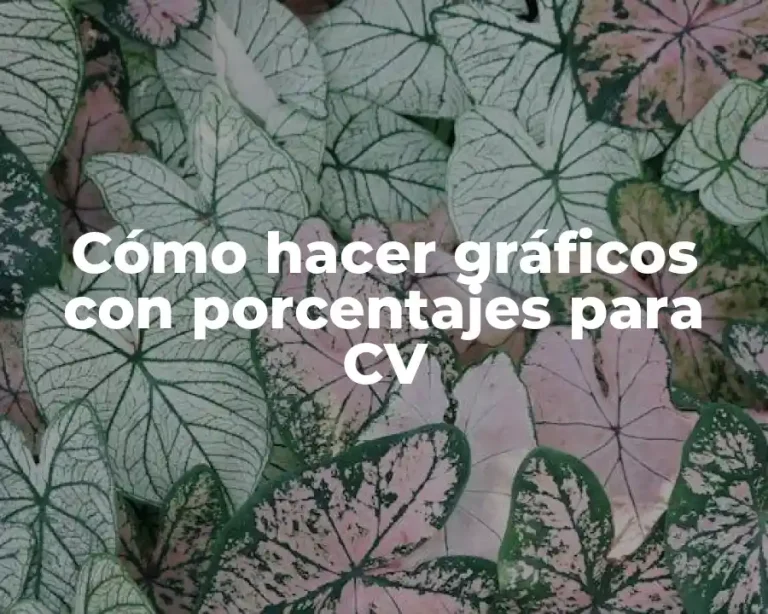 Cómo hacer gráficos con porcentajes para CV