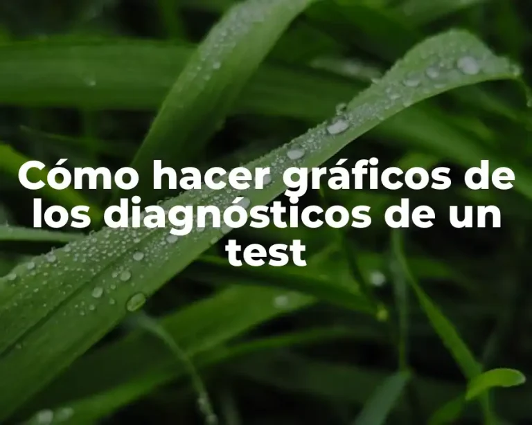 Cómo hacer gráficos de los diagnósticos de un test