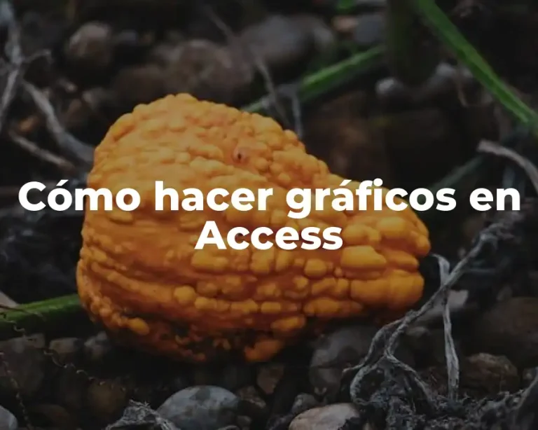 Cómo hacer gráficos en Access