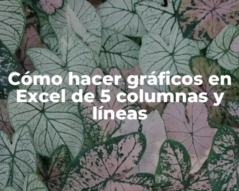 Cómo hacer gráficos en Excel de 5 columnas y líneas