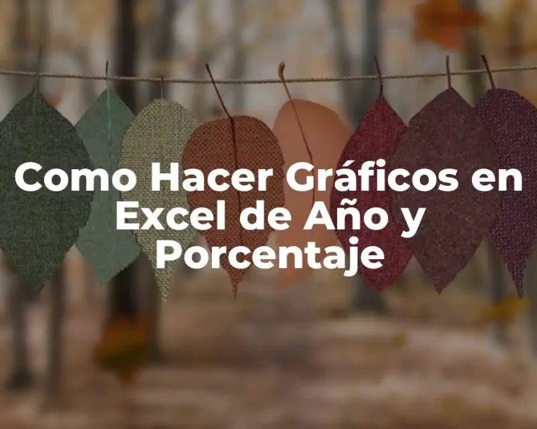 Como Hacer Gráficos en Excel de Año y Porcentaje
