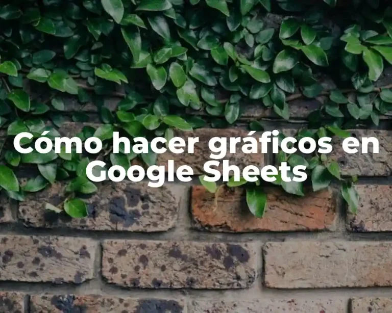 Cómo hacer gráficos en Google Sheets