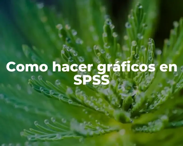 Como hacer gráficos en SPSS