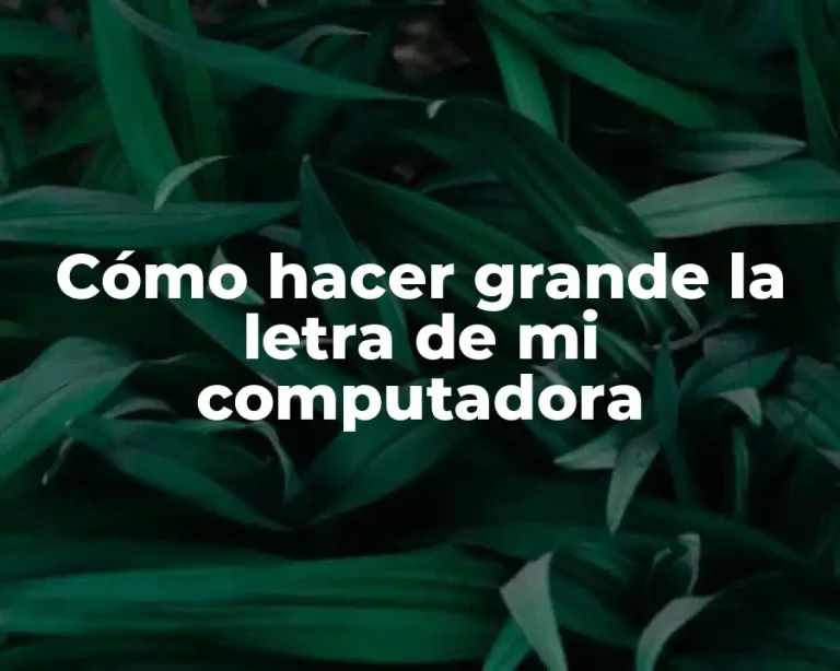 Cómo hacer grande la letra de mi computadora