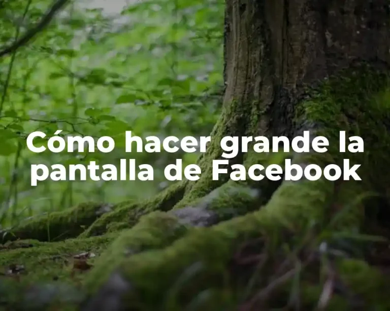 Cómo hacer grande la pantalla de Facebook