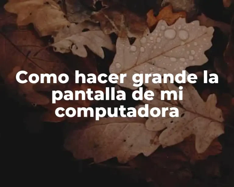Como hacer grande la pantalla de mi computadora