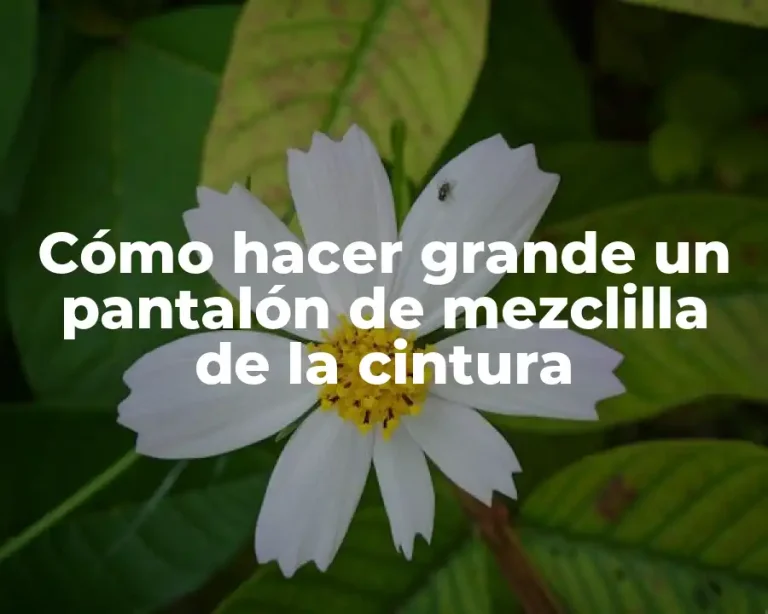 Cómo hacer grande un pantalón de mezclilla de la cintura