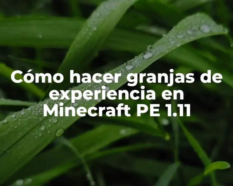 Cómo hacer granjas de experiencia en Minecraft PE 1.11