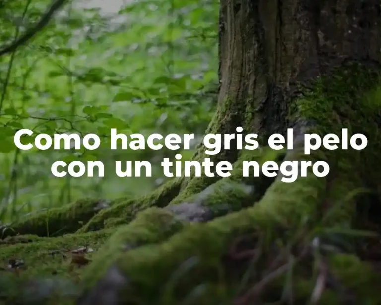 Como hacer gris el pelo con un tinte negro