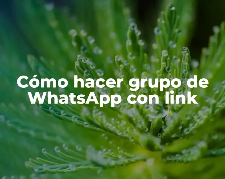 Cómo hacer grupo de WhatsApp con link