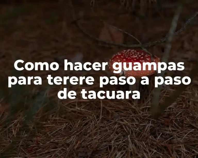 Como hacer guampas para terere paso a paso de tacuara