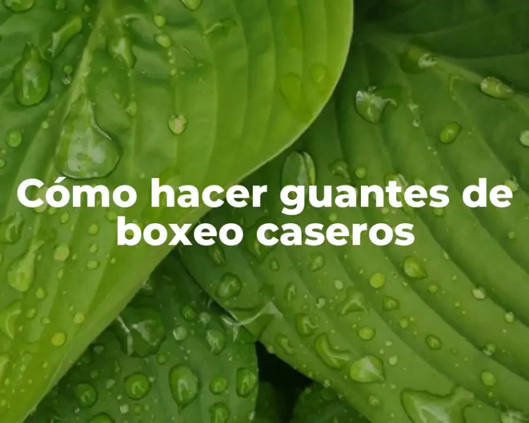 Cómo hacer guantes de boxeo caseros
