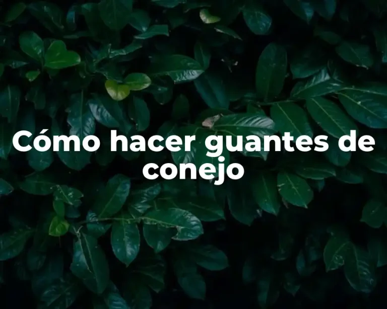 Cómo hacer guantes de conejo