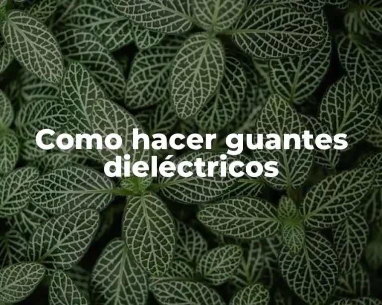 Como hacer guantes dieléctricos