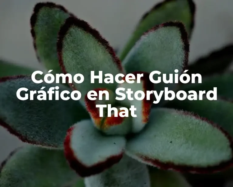Cómo Hacer Guión Gráfico en Storyboard That