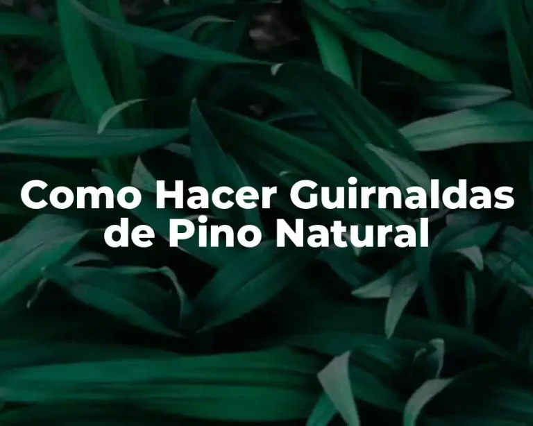 Como Hacer Guirnaldas de Pino Natural