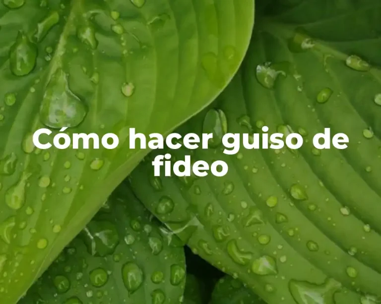 Cómo hacer guiso de fideo