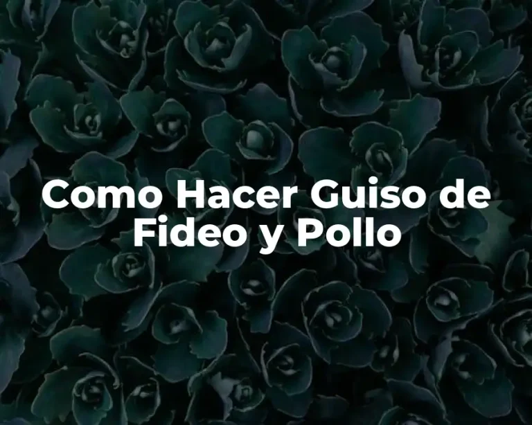 Como Hacer Guiso de Fideo y Pollo