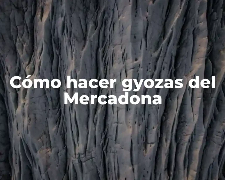 Cómo hacer gyozas del Mercadona