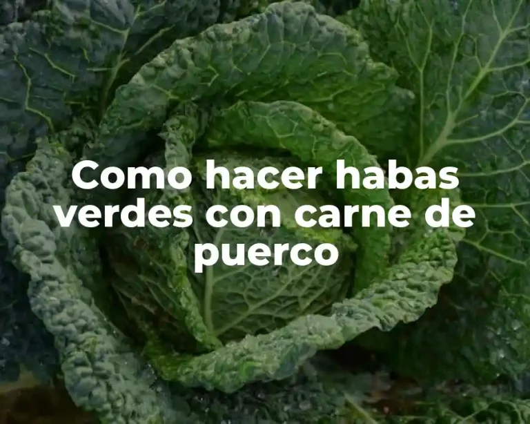 Como hacer habas verdes con carne de puerco