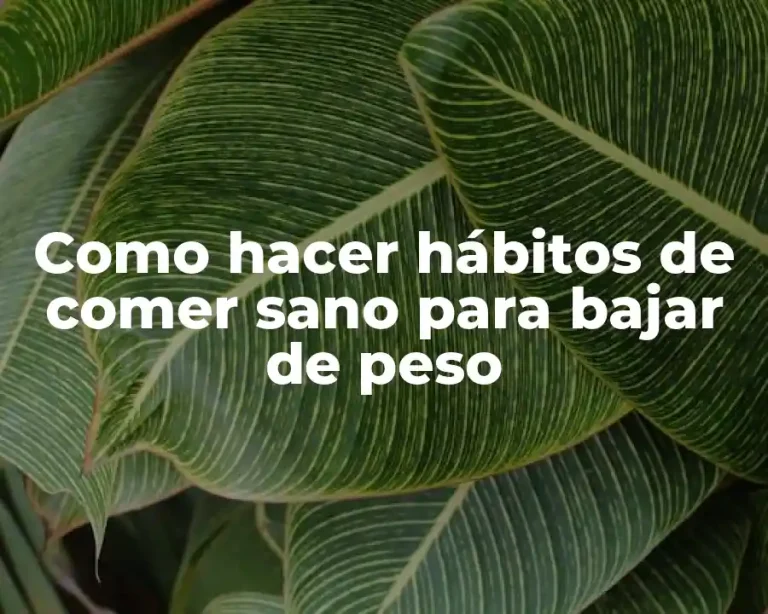 Como hacer hábitos de comer sano para bajar de peso
