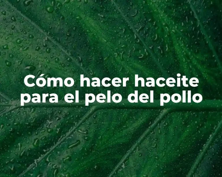 Cómo hacer haceite para el pelo del pollo