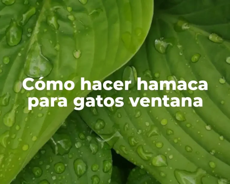 Cómo hacer hamaca para gatos ventana