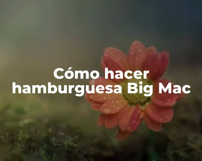 Cómo hacer hamburguesa Big Mac