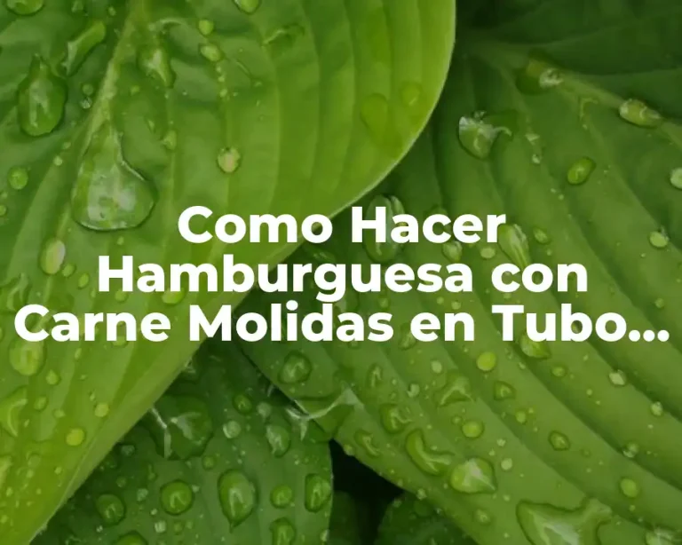 Como Hacer Hamburguesa con Carne Molidas en Tubo Winter