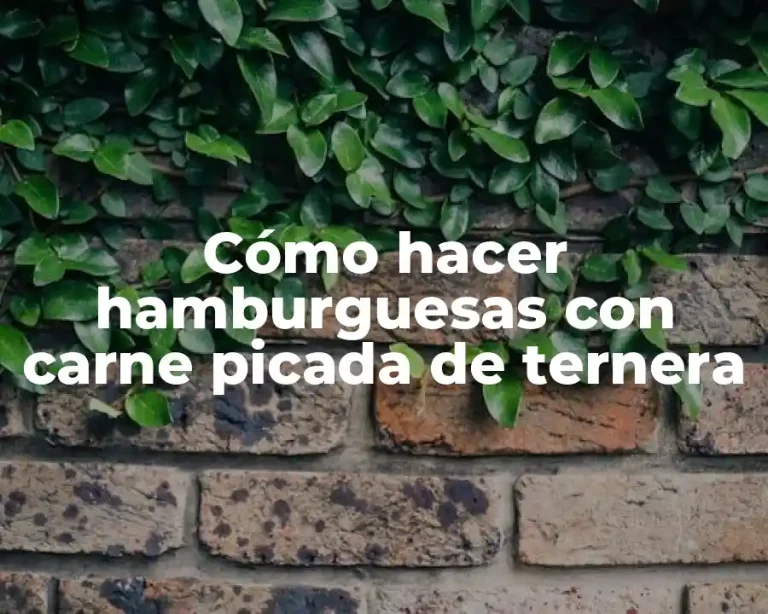 Cómo hacer hamburguesas con carne picada de ternera