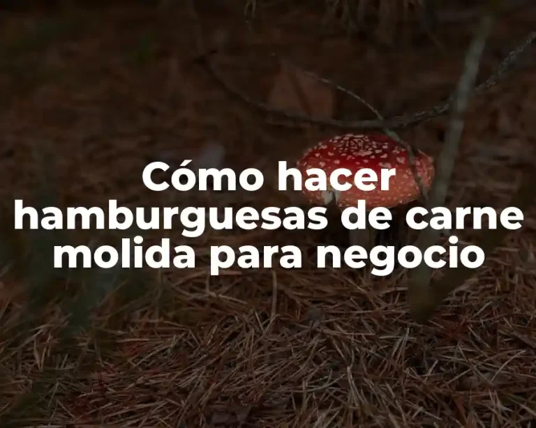 Cómo hacer hamburguesas de carne molida para negocio