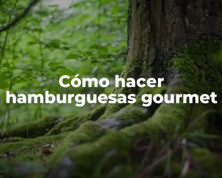Cómo hacer hamburguesas gourmet