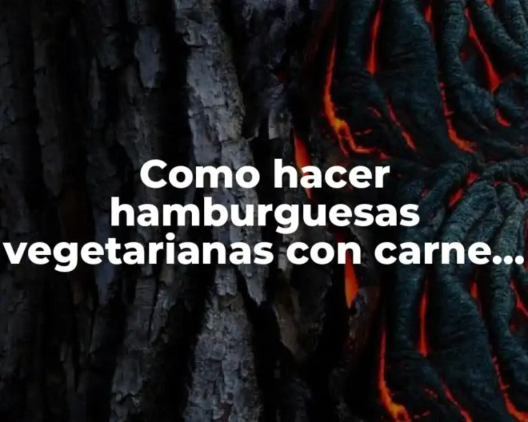 Como hacer hamburguesas vegetarianas con carne de soya